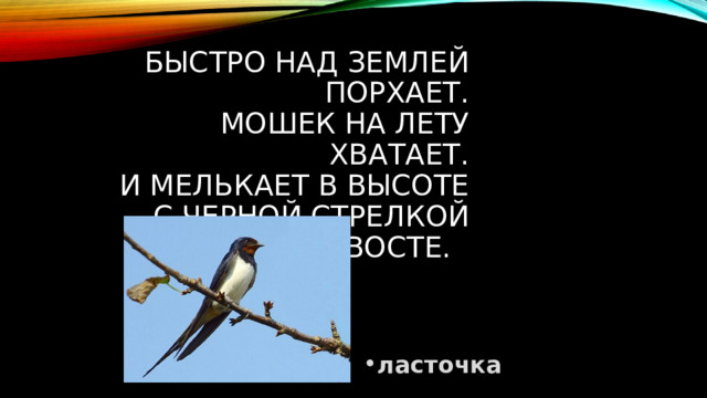 Быстро над землей порхает.  Мошек на лету хватает.  И мелькает в высоте  С черной стрелкой на хвосте. ласточка 