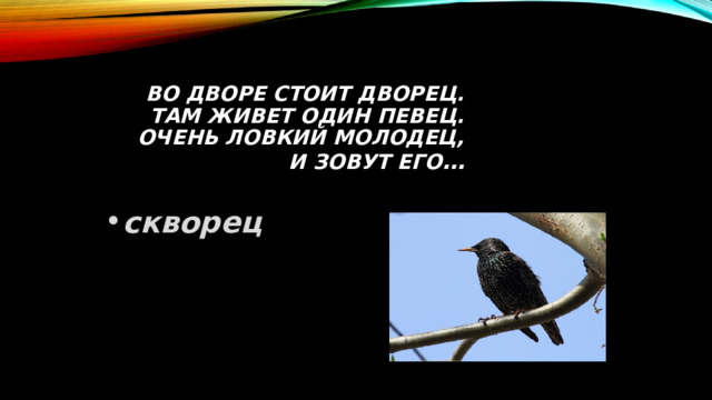    Во дворе стоит дворец.  Там живет один певец.  Очень ловкий молодец,  И зовут его …   скворец 