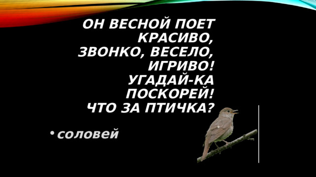 Он весной поет красиво,  Звонко, весело, игриво!  Угадай-ка поскорей!  Что за птичка? соловей 