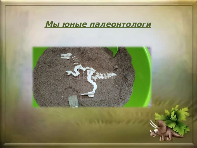 Мы юные палеонтологи 