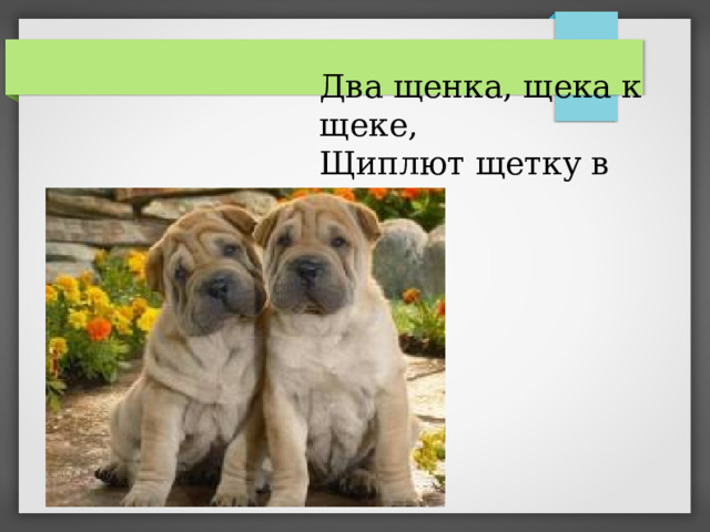 Два щенка щека к щеке щиплют щетку в уголке рисунок