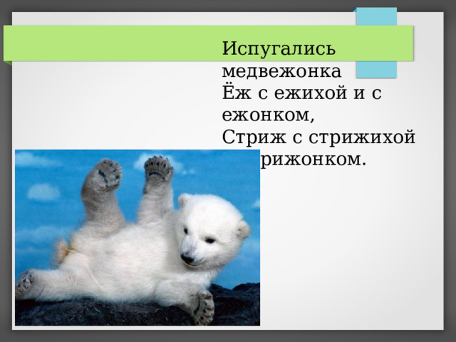 Испугались медвежонка еж с ежихой и с ежонком стриж с стрижихой и стрижонком рисунок