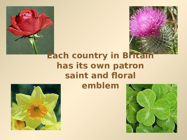 Each country in Britain has its own patron saint and floral emblem 