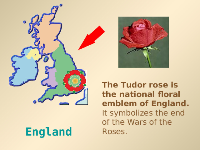 The Tudor rose is the national floral emblem of England. It symbolizes the end of the Wars of the Roses. England  