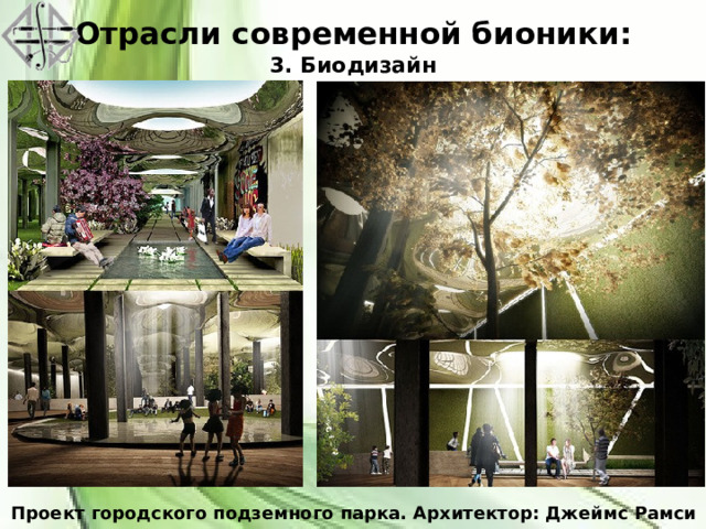 Отрасли современной бионики:  3. Биодизайн Проект городского подземного парка. Архитектор: Джеймс Рамси 