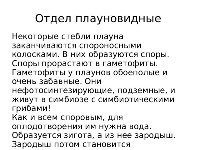 Отдел плауновидные Некоторые стебли плауна заканчиваются спороносными колосками. В них образуются споры. Споры прорастают в гаметофиты. Гаметофиты у плаунов обоеполые и очень забавные. Они нефотосинтезирующие, подземные, и живут в симбиозе с симбиотическими грибами! Как и всем споровым, для оплодотворения им нужна вода. Образуется зигота, а из нее зародыш. Зародыш потом становится свободноживущим спорофитом.     