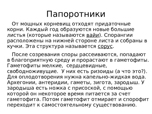 Папоротники От мощных корневищ отходят придаточные  корни. Каждый год образуются новые большие листья (которые называются вайи ). Спорангии расположены на нижней стороне листа и собраны в кучки. Эта структура называется сорус . После созревания споры рассеиваются, попадают в благоприятную среду и прорастают в гаметофиты. Гаметофиты мелкие, сердцевидные, свободноживущие. У них есть ризоиды (а что это?). Для оплодотворения нужна капельно-жидкая вода. Архегонии, антеридии, гаметы, зигота, зародыш. У зародыша есть ножка с присоской, с помощью которой он некоторое время питается за счет гаметофита. Потом гаметофит отмирает и спорофит переходит к самостоятельному существованию.  