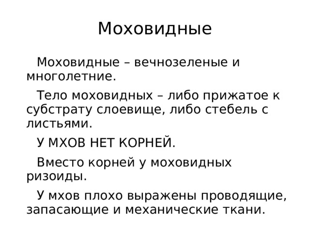 Моховидные Моховидные – вечнозеленые и многолетние. Тело моховидных – либо прижатое к субстрату слоевище, либо стебель с листьями. У МХОВ НЕТ КОРНЕЙ. Вместо корней у моховидных ризоиды. У мхов плохо выражены проводящие, запасающие и механические ткани.   