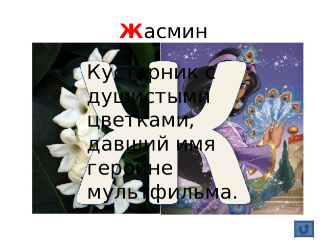 Ж асмин Кустарник с душистыми цветками, давший имя героине мультфильма. 