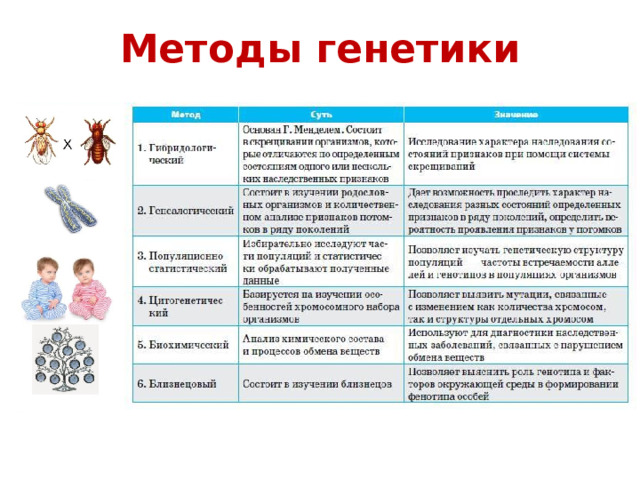 Методы генетики 