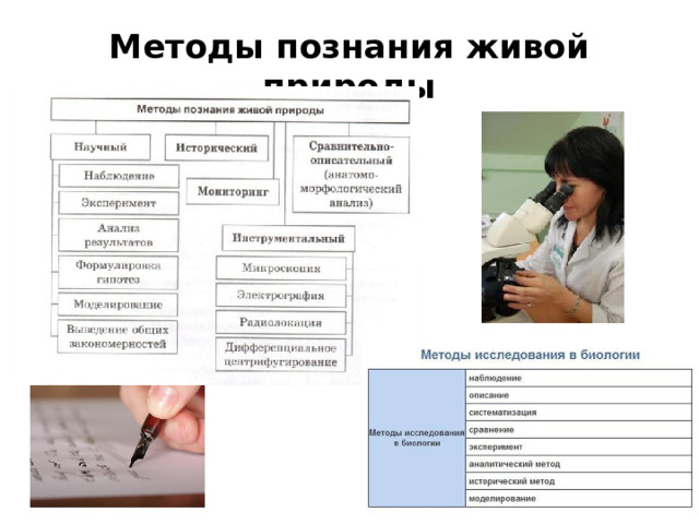 Методы познания живой природы