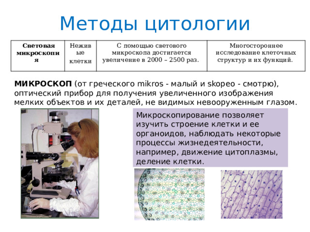 Методы цитологии  Световая микроскопия Неживые клетки С помощью светового микроскопа достигается увеличение в 2000 – 2500 раз. Многостороннее исследование клеточных структур и их функций. МИКРОСКОП (от греческого mikros - малый и skopeo - смотрю), оптический прибор для получения увеличенного изображения мелких объектов и их деталей, не видимых невооруженным глазом. Микроскопирование позволяет изучить строение клетки и ее органоидов, наблюдать некоторые процессы жизнедеятельности, например, движение цитоплазмы, деление клетки. 