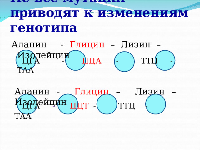 Презентация "Мутации"