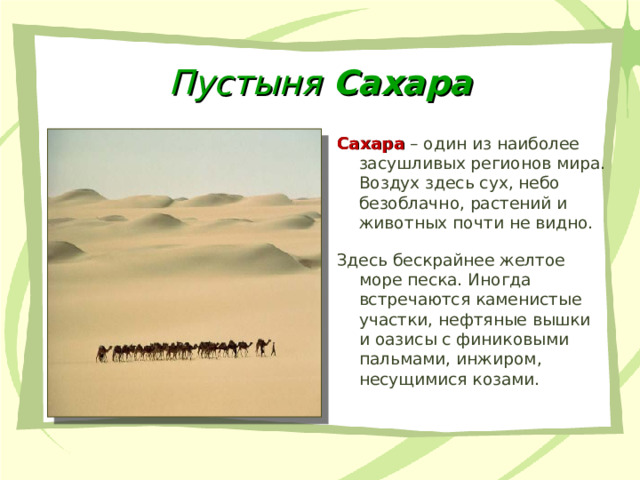 Виртуальные экскурсии как эффективный инструмент дистанционного обучения