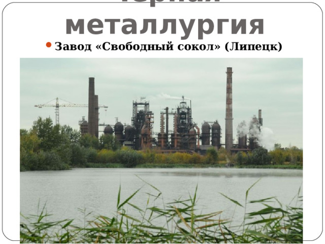 Черная металлургия Завод «Свободный сокол» (Липецк)  