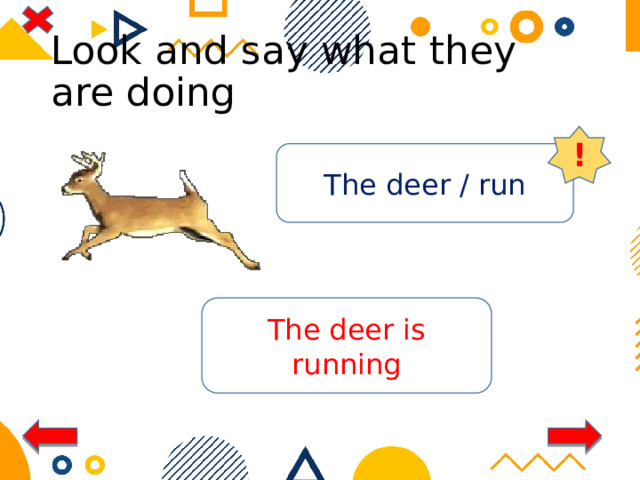 Look and say what they are doing ! The deer / run The deer is running 