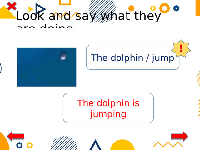 Look and say what they are doing ! The dolphin / jump The dolphin is jumping 