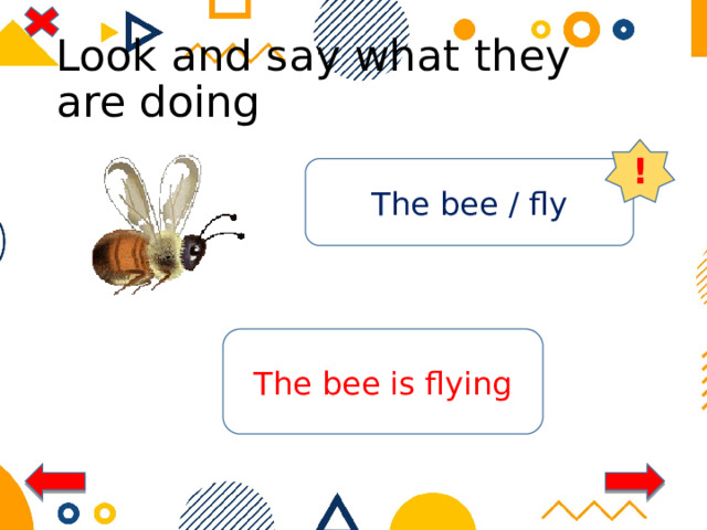 Look and say what they are doing ! The bee / fly The bee is flying 
