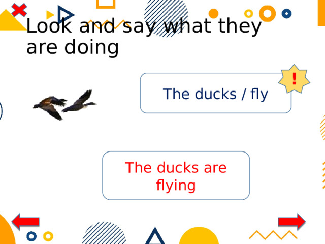 Look and say what they are doing ! The ducks / fly The ducks are flying 