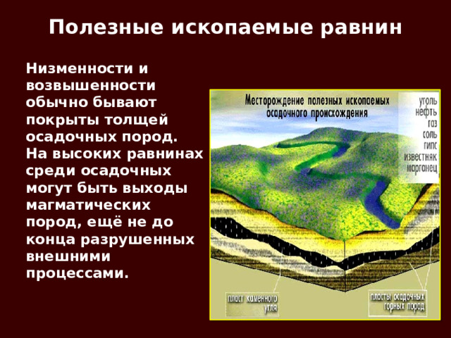 Полезные ископаемые равнин Низменности и возвышенности обычно бывают покрыты толщей осадочных пород. На высоких равнинах среди осадочных могут быть выходы магматических пород, ещё не до конца разрушенных внешними процессами. 
