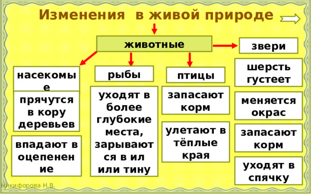 Изменения в живой природе животные звери шерсть густеет рыбы насекомые птицы уходят в более глубокие места, зарываются в ил или тину запасают корм прячутся в кору деревьев меняется окрас улетают в тёплые края запасают корм впадают в оцепенение уходят в спячку 