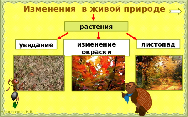 В гости к осени. В гости к осени 2 класс. Презентация по окружающему миру 2 класс экскурсия в гости к осени. В гости к осени 2 класс окружающий мир презентация. В гости к осени презентация окружающий мир 2 класс Плешаков.