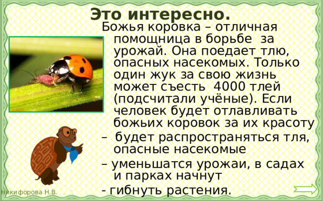 Это интересно. Божья коровка – отличная помощница в борьбе за урожай. Она поедает тлю, опасных насекомых. Только один жук за свою жизнь может съесть 4000 тлей (подсчитали учёные). Если человек будет отлавливать божьих коровок за их красоту – будет распространяться тля, опасные насекомые – уменьшатся урожаи, в садах и парках начнут - гибнуть растения. 