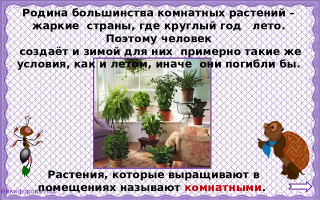 Презентация урока "Комнатные растения" Окружающий мир 2 класс