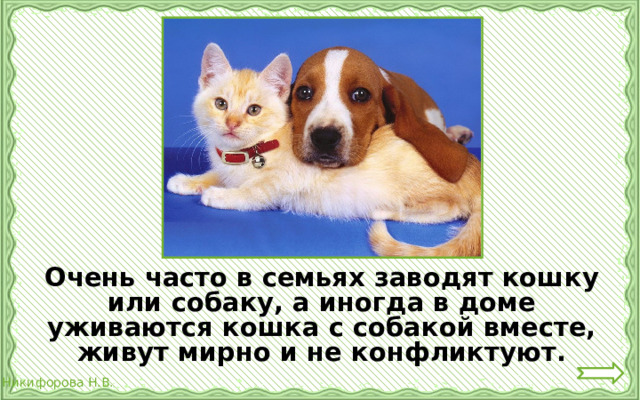   Очень часто в семьях заводят кошку или собаку, а иногда в доме уживаются кошка с собакой вместе, живут мирно и не конфликтуют. 