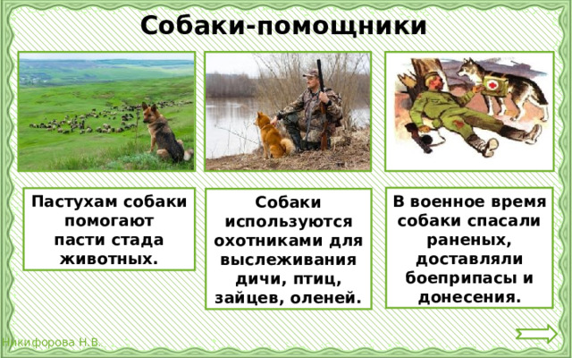 Собаки-помощники В военное время собаки спасали раненых, доставляли боеприпасы и донесения. Пастухам собаки помогают пасти стада животных. Собаки используются охотниками для выслеживания дичи, птиц, зайцев, оленей.  