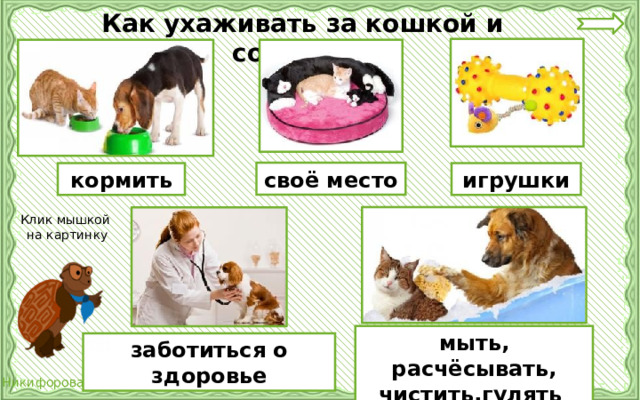 Как ухаживать за кошкой и собакой ? своё место кормить игрушки Клик мышкой  на картинку мыть, расчёсывать, чистить,гулять заботиться о здоровье 