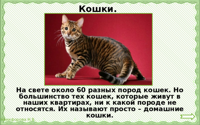 Кошки.   На свете около 60 разных пород кошек. Но большинство тех кошек, которые живут в наших квартирах, ни к какой породе не относятся. Их называют просто – домашние кошки. 