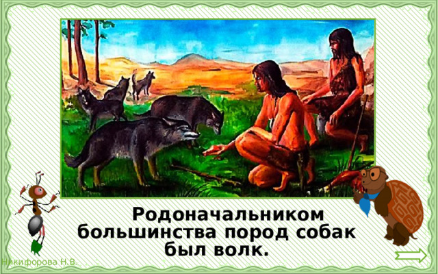   Родоначальником большинства пород собак был волк. 
