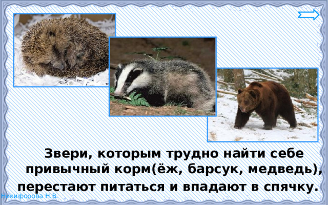  Звери, которым трудно найти себе привычный корм(ёж, барсук, медведь), перестают питаться и впадают в спячку. 