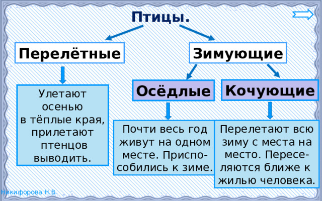 Птицы. Зимующие Перелётные Кочующие Осёдлые Улетают осенью в тёплые края, прилетают  птенцов выводить. Перелетают всю зиму с места на место. Пересе- ляются ближе к жилью человека. Почти весь год живут на одном месте. Приспо- собились к зиме. 