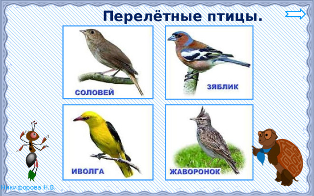  Перелётные птицы. 