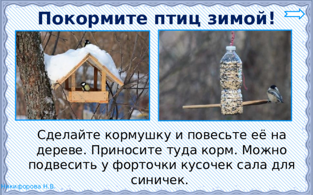 Покормите птиц зимой!  Сделайте кормушку и повесьте её на дереве. Приносите туда корм. Можно подвесить у форточки кусочек сала для синичек. 