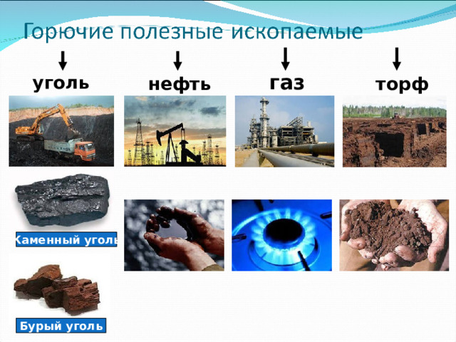 газ уголь торф нефть Каменный уголь Бурый уголь 