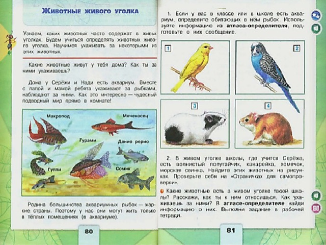 Животные живого уголка 2 класс