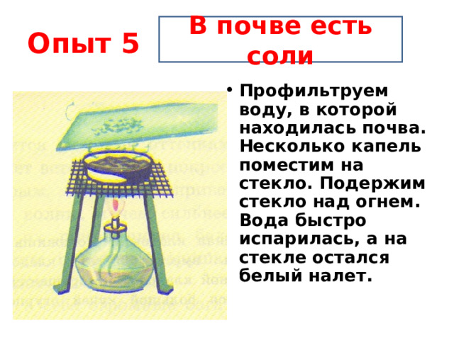 Опыт 5 В почве есть соли Профильтруем воду, в которой находилась почва. Несколько капель поместим на стекло. Подержим стекло над огнем. Вода быстро испарилась, а на стекле остался белый налет. 