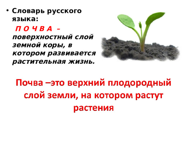 Словарь русского языка:  П О Ч В А –  поверхностный слой земной коры, в котором развивается растительная жизнь.  