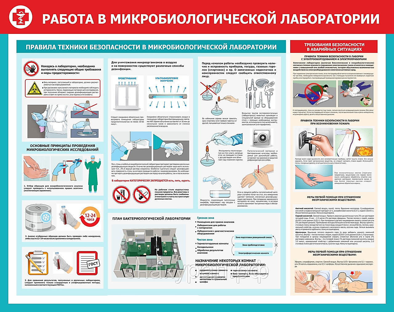 Практическая работа №1 Знакомство с микробиологической лабораторией.  Изучение морфологии микроорганизмов.