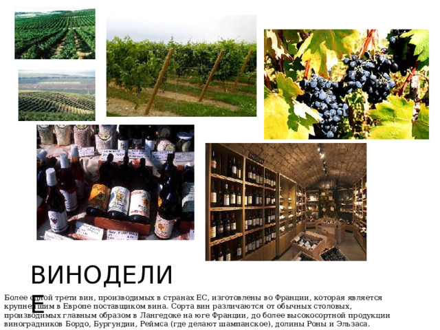 ВИНОДЕЛИЕ Более одной трети вин, производимых в странах ЕС, изготовлены во Франции, которая является крупнейшим в Европе поставщиком вина. Сорта вин различаются от обычных столовых, производимых главным образом в Лангедоке на юге Франции, до более высокосортной продукции виноградников Бордо, Бургундии, Реймса (где делают шампанское), долины Роны и Эльзаса. 