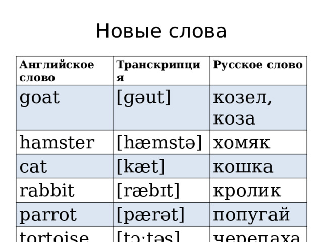 Комната транскрипция на английском