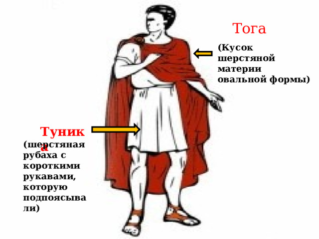 Тога (Кусок шерстяной материи овальной формы) Туника (шерстяная рубаха с короткими рукавами, которую подпоясывали) 