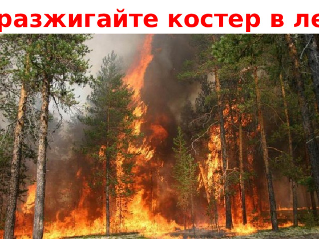 Не разжигайте костер в лесу! 