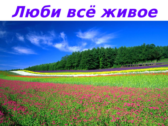 Люби всё живое 