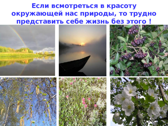 Красота окружающего мира примеры из произведений Люби всё живое-презентация