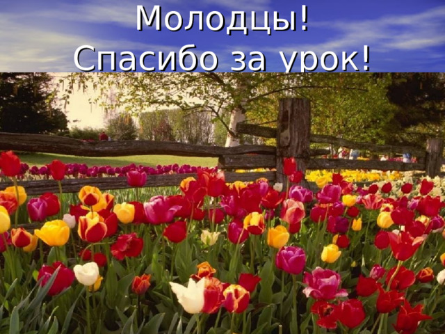 Молодцы!  Спасибо за урок! 