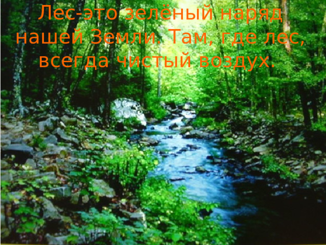Лес-это зелёный наряд нашей Земли. Там, где лес, всегда чистый воздух. 
